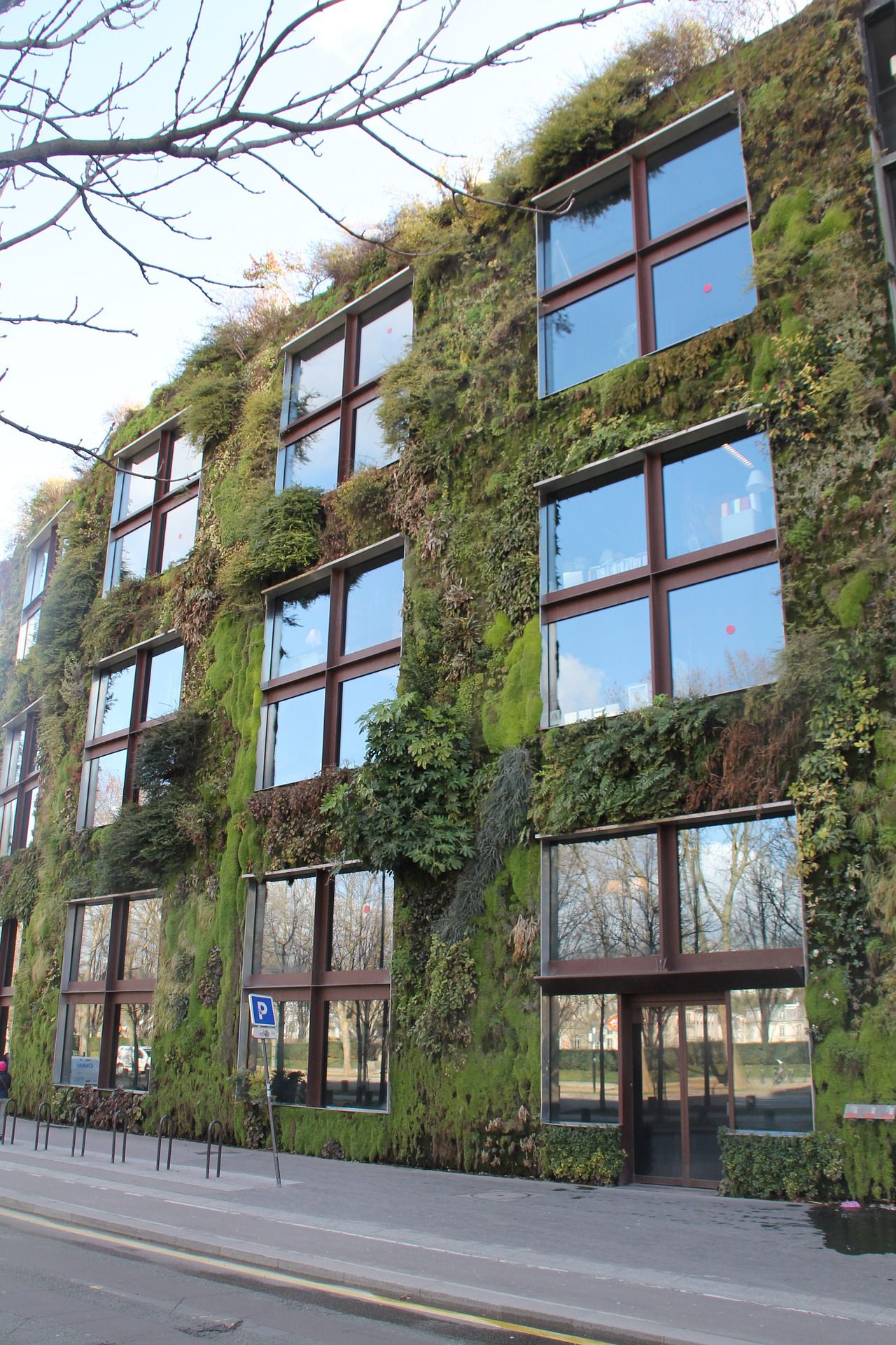 Green facades and vertical gardens improve the air quality in paris urban gardens