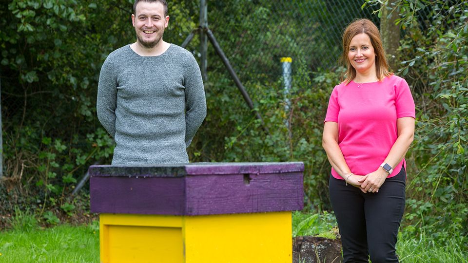 Bee-keeping in Craigavon