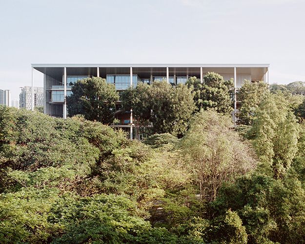 Carbon Neutral Floors In Singapore S First New Build Net Zero