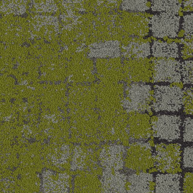 Moss Summary Commercial Carpet Tile Interface