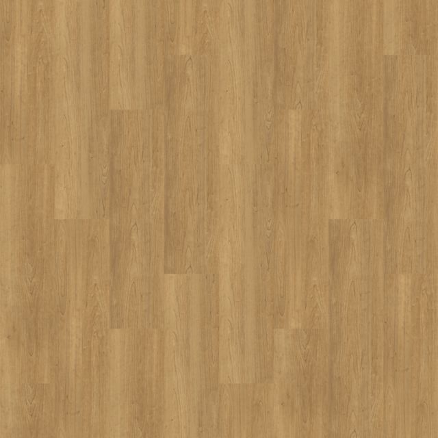 Natural Woodgrains Summary Luxury Vinyl Tile Interface