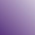Фиолетовый 
