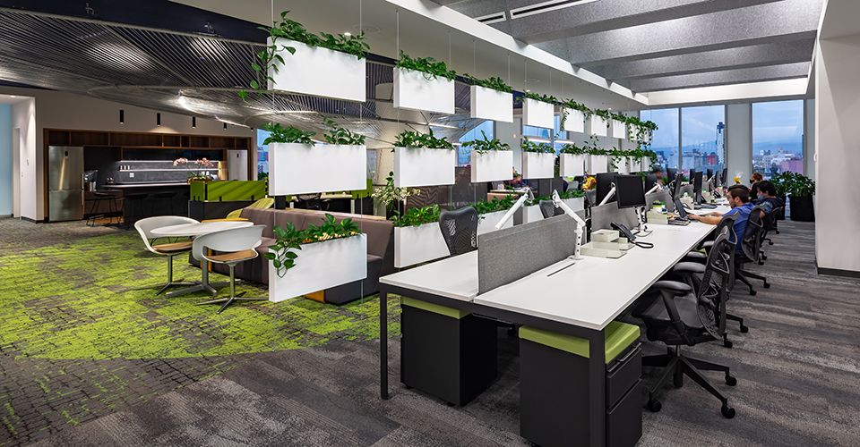 ATXK's New Office Invites Nature Inside | Human Spaces