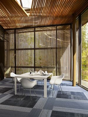 An Introduction To Biophilic Design