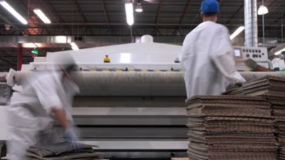 Face fiber and backing are cleanly separated using innovative technology.